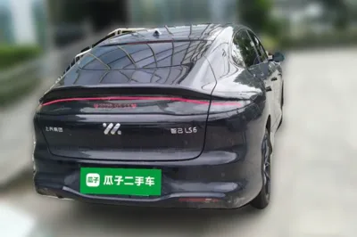 IM LS6