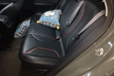 Geely Auto Binray