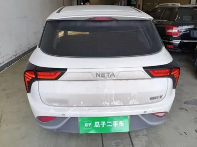 NETA Neta V