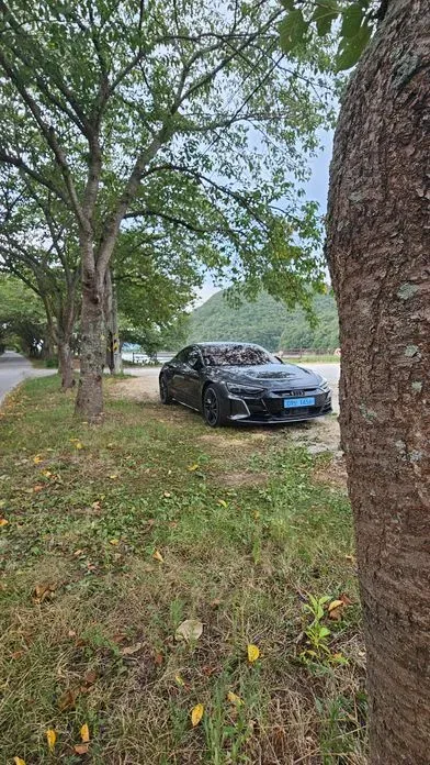 Audi RS e-tron GT