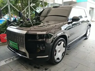 Zeekr 极氪9X