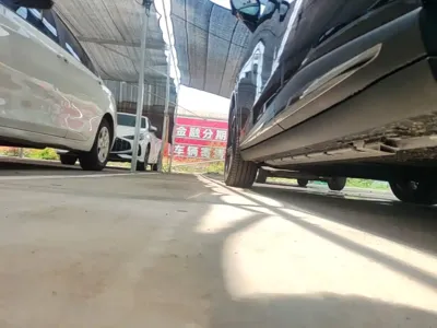 NETA Neta L