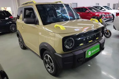 Geely Galaxy Panda