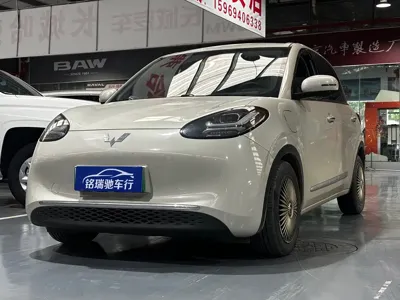 Wuling Bingo