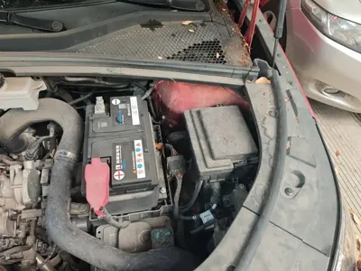 BYD PLUS