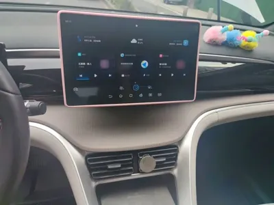 BYD Pro New Energy
