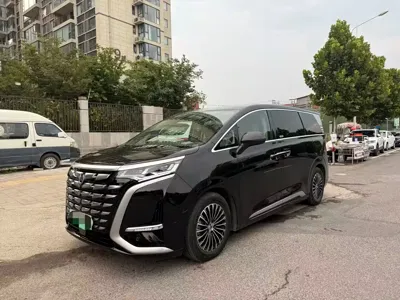 Denza Denza D9