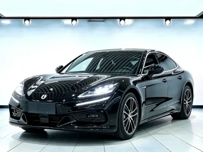 Denza Denza Z9