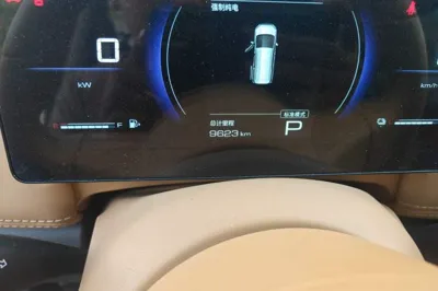 Wuling Wuling Starlight 730