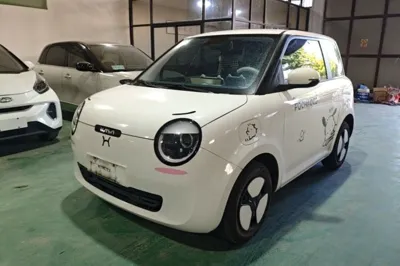 CHANGAN NEVO Lumin