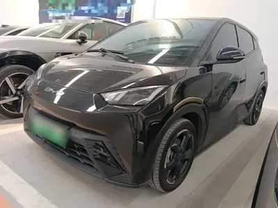 BYD Seagull