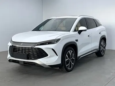 BYD L DM-i