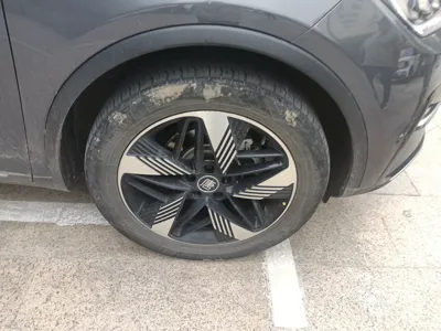 BYD Tang New Energy