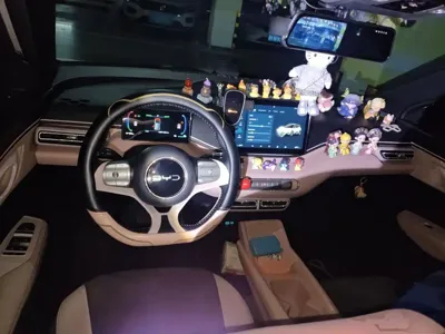 BYD Seagull