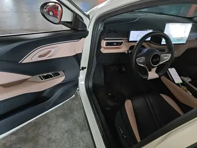 BYD Seagull