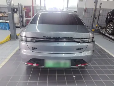 BYD Destroyer 05