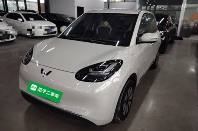 Wuling Bingo