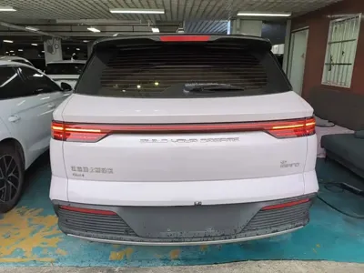 BYD Pro New Energy