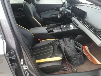 GAC Motor Shadow Leopard
