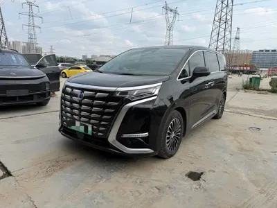 Denza Denza D9