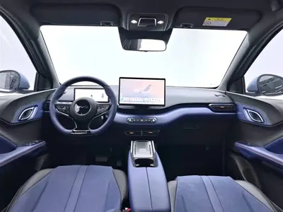 BYD Seagull