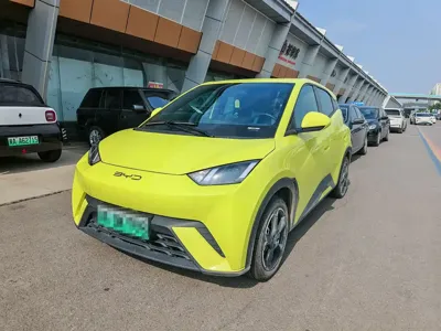 BYD Seagull