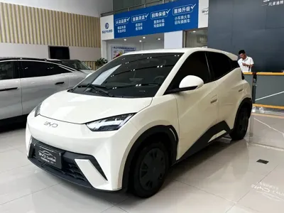 BYD Seagull