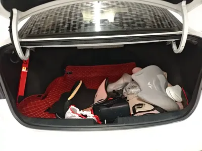 Hyundai Mistra