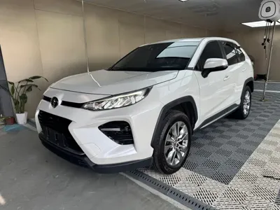 Toyota Wildlander