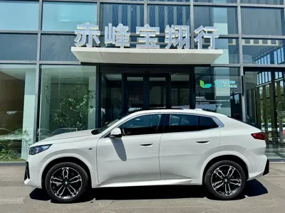 BMW X2 (Import)