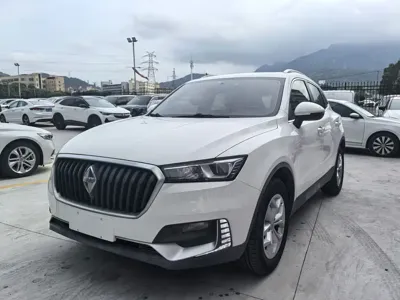 Borgward BX5