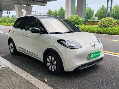 Wuling Bingo