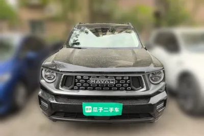 Haval H Dog