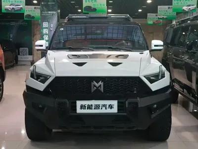 Mengshi Mengshi 917