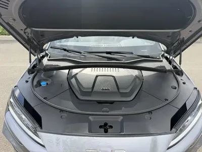 BYD PLUS
