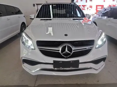 Mercedes-Benz 奔驰GLE(进口)