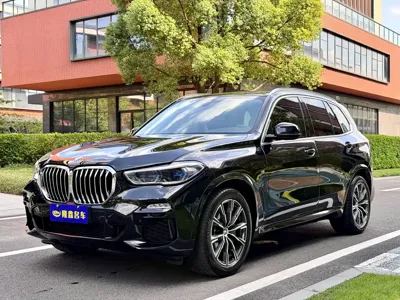 BMW X5 New Energy (Import)