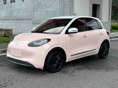 Wuling Bingo
