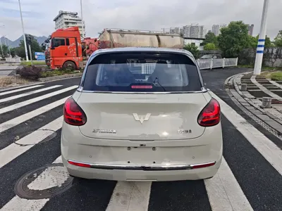 Wuling Bingo