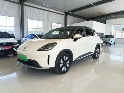 Wuling 缤果S