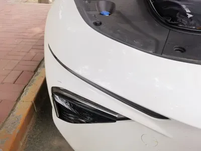NETA Neta S