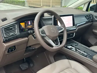Volkswagen Viloran