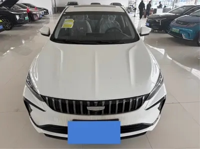 Geely Binrui