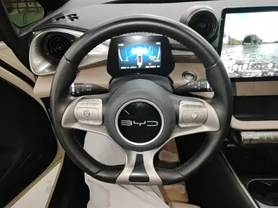 BYD Dolphin