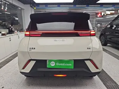 BYD Seagull