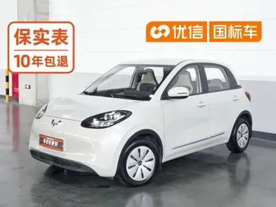 Wuling Bingo