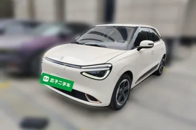 Dongfeng NAMMI 01