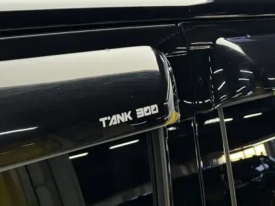 Tank Tank 300