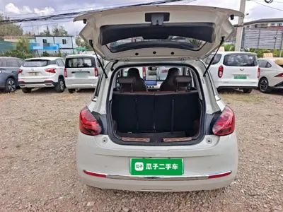 Wuling Bingo