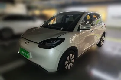 Wuling Bingo